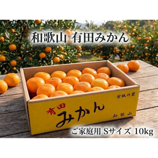［ご家庭用・サイズＳ］和歌山有田産！早生みかん≪10kg≫［予約販売］［数量限定］まる隆果樹園