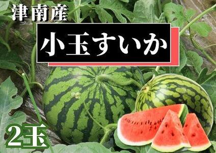 [令和8年産 先行予約]津南産 小玉スイカ 2玉 |津南町 スイカ