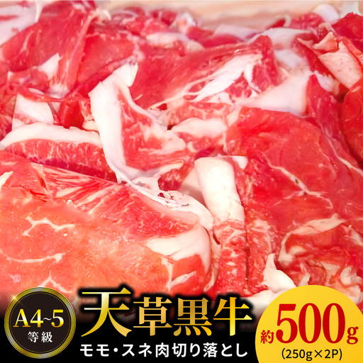 S074-016_天草黒牛 モモ・スネ肉 切り落とし 約500g (250g×2P) 黒毛和牛 A4〜5等級