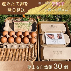 種子島 平飼い 産み立て たまご 夢まるガーデン 鶏卵 ×30個 NFN500[300pt]
