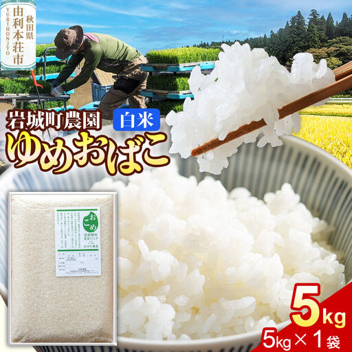 【白米】ゆめおばこ 秋田県産 岩城町農園のゆめおばこ 5kg（5kg×1袋）令和7年産 真空パック