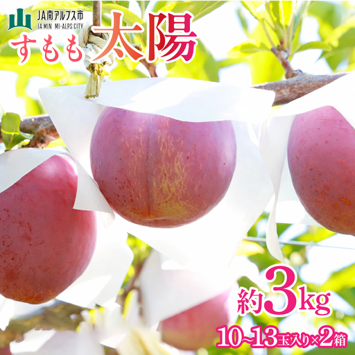 【2027年(令和9年)発送先行予約】来年発送！！すもも「太陽」10～13玉入り×2箱約3ｋｇ ALPAA016