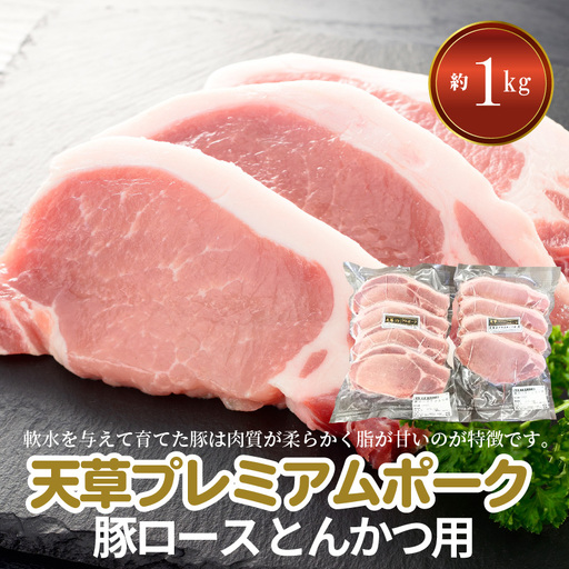 S058-020A_天草プレミアムポーク とんかつ用 ロース 8枚 約1kg