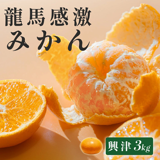 みかん 3kg 龍馬感激みかん 興津 温州みかん 柑橘 フルーツ 果物 産地直送