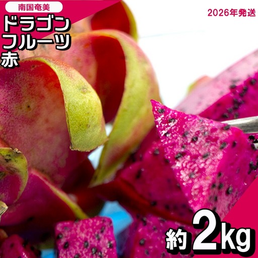 南国奄美のドラゴンフルーツ赤 約2kg（4～8玉入り）【2026年発送】 鹿児島県 奄美群島 奄美大島 龍郷町 国産 奄美産 青果 果実 果物 くだもの フルーツ デザート ピタヤ 火龍果 南国 トロピカル お取り寄せ 先行予約 期間限定 数量限定