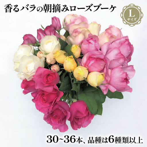 バラ 花束 ブーケ 朝摘み Lサイズ 薔薇 花  母の日 