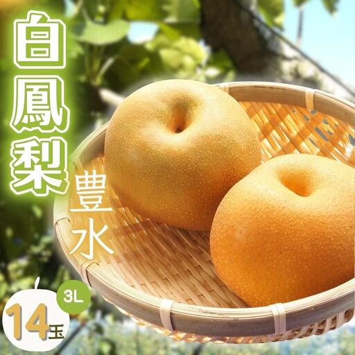 白鳳梨(豊水)3L 14玉 ※お届けは9月上旬から9月中旬頃の予定です[hkns0001]
