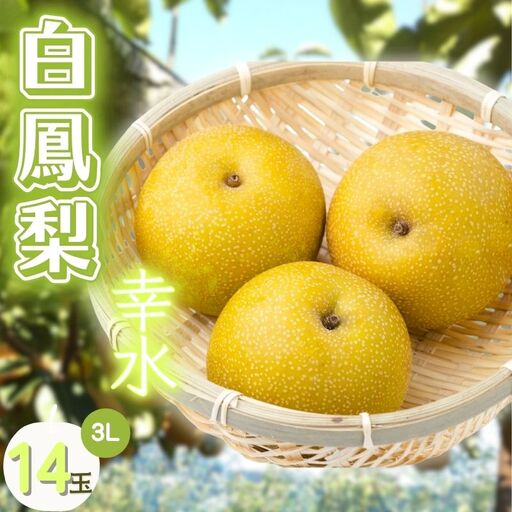 白鳳梨(幸水) 3L 14玉 ※お届けは8月中旬以降の予定です[hkns0003]