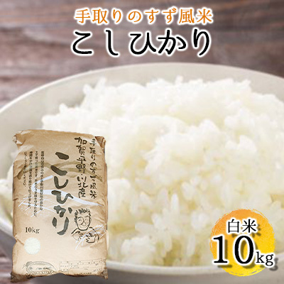 【令和8年度産】手取りのすず風米こしひかり　白米10kg 