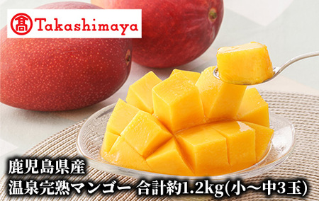 ＜高島屋選定品＞鹿児島県産温泉完熟マンゴー合計約1.2kg(小～中玉3玉)白箱入り【2026年7～8月頃発送】(IB001-001/59D1824)