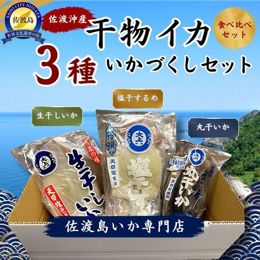 干物 イカ 佐渡沖産 3種 イカづくしセット1