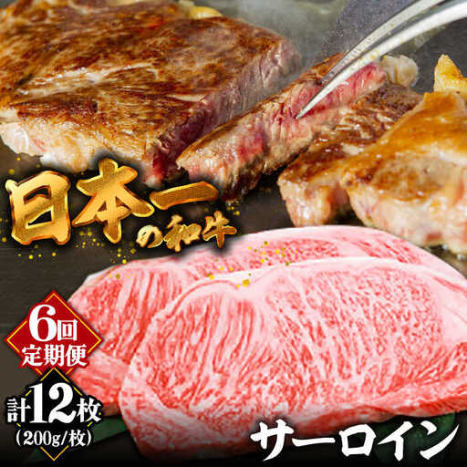 【6回定期便】【やわらかな赤身と口どけまろやかな脂身】長崎和牛 サーロインステーキ 400g 2人前（200g×2枚）/ 牛肉 ステーキ 長崎産 サーロイン / 南島原市 / ふるさと企画 [SBA033]