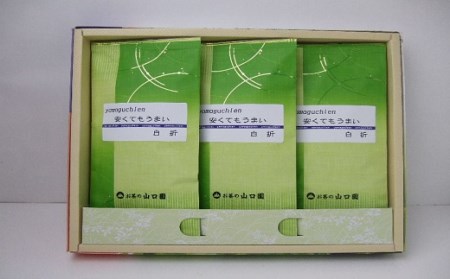 お茶 豊後のお茶の山口園が贈る「安くてもうまい白折100g」3本セット