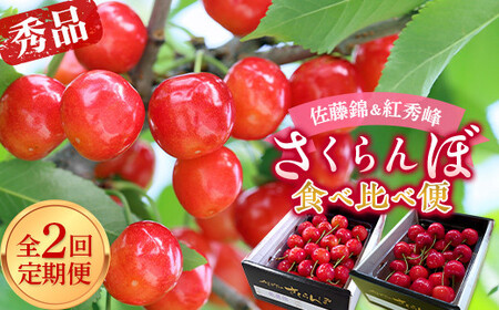 【令和9年産先行予約】 《定期便2回》 さくらんぼ食べ比べ定期便 「佐藤錦・紅秀峰」 各500g (秀品) 『マルエ青果』 果物 くだもの フルーツ 山形県 南陽市 [1888]