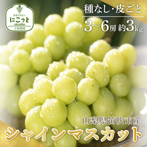 [2026年発送★先行予約]シャインマスカット 3から6房 約3.0kg ※沖縄県・離島は発送不可 097-014-26y 