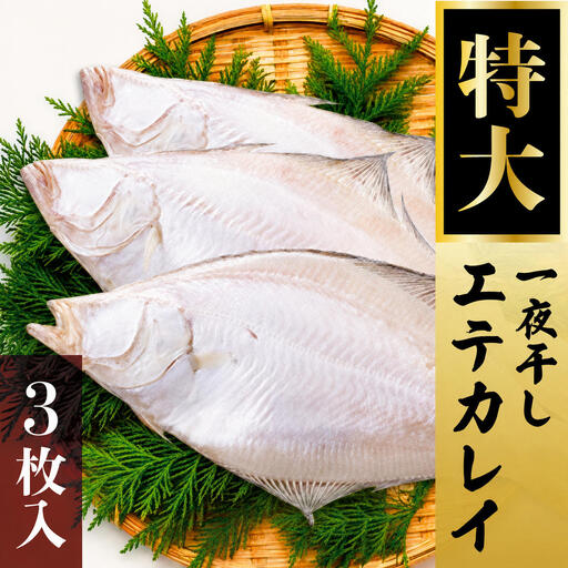 エテカレイ 3枚 一夜干し 魚 地魚 特大 カレイ エテカレイ