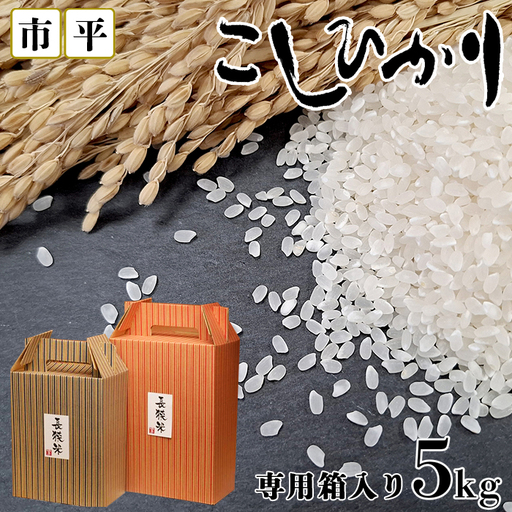 【市平】ボックス入り長狭米コシヒカリ５㎏ [0019-0008]