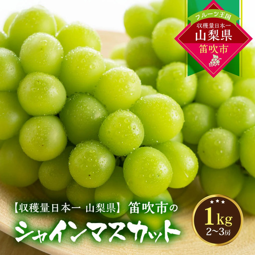 [2026年発送★先行予約]葡萄の一大産地!笛吹市産シャインマスカット1kg 167-002-26y