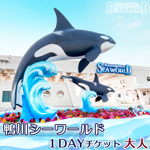 【鴨川シーワールド】１Dayチケット 大人（高校生以上）１枚　[0012-0060]