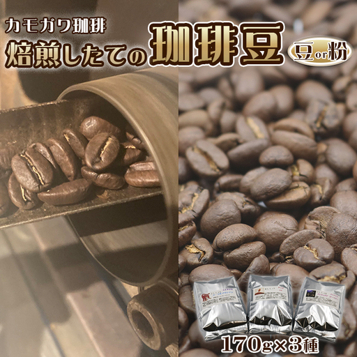 [カモガワ珈琲]焙煎したてのコーヒー豆 3種(170g×3袋)[粉] [0018-0025]