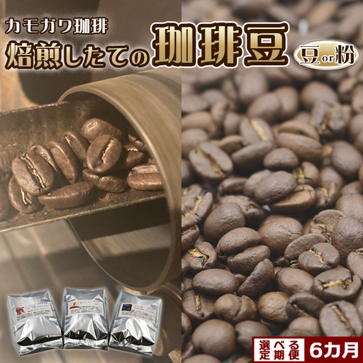 【カモガワ珈琲の定期便】焙煎したてのコーヒー豆 ３種（170g×３袋）６カ月《粉・毎月発送》　[0103-0001]