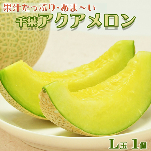 【高橋メロン農園】千葉アクアメロン L玉以上 × 1個 [0010-0097]