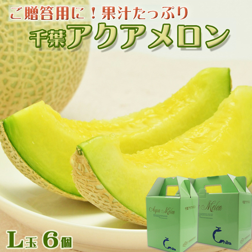 【ご贈答に！】高級マスクメロン『千葉アクアメロン』Ｌ玉以上 × ６個《２個入り３箱》　[0066-0005]