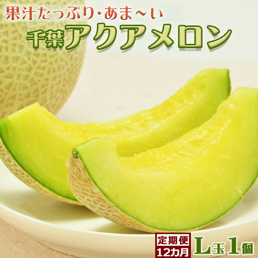 【定期便】高橋メロン農園『千葉アクアメロン』L玉以上 1個 × 12回発送 [0120-0008]