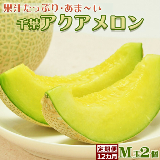 【定期便】高橋メロン農園『千葉アクアメロン』M玉以上 2個 × 12回発送 [0200-0024]