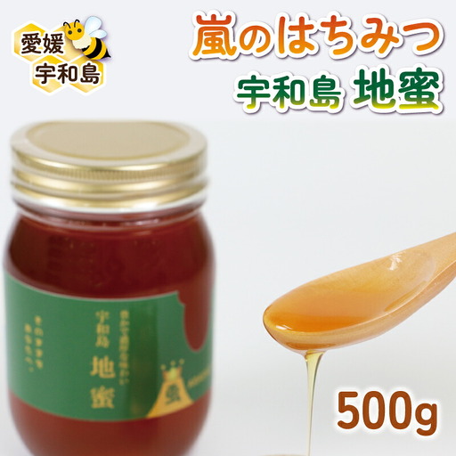 嵐 の はちみつ 天然 100％ 地蜜 みつばち屋嵐 非加熱 はちみつ F018-129004