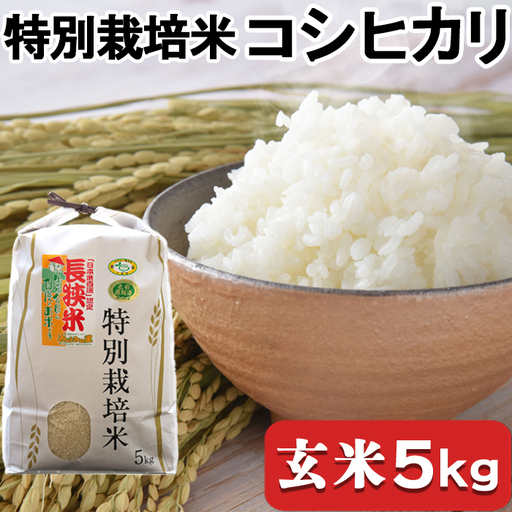 [千葉県知事賞受賞]川名一将さんちの長狭米 特別栽培米コシヒカリ5kg[玄米] [0016-0027]