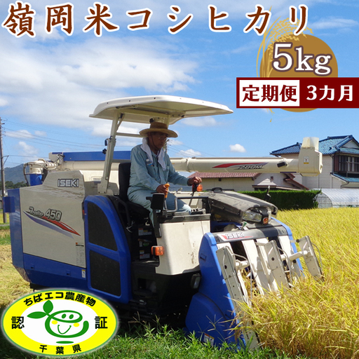 [定期便][令和7年産]嶺南ファームの嶺岡米「コシヒカリ」5kg×3回 [0050-0101]