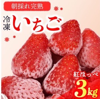 冷凍いちご 紅ほっぺ  3kg 【 冷凍いちご 】森木農園