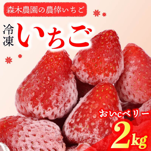 【冷凍 いちご】 苺 2kg以上 完熟 おいCベリー ヘタ取り いちご 静岡 限定 苺 冷凍いちご 果物 スイーツ いちご 牧之原市 デザート フルーツ スイーツ アイス ジャム シャーベット ベリー 氷菓 冷凍 甘い オススメ ギフト 人気 牧之原市 森木農園