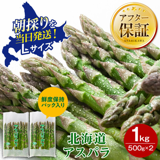 【2027年先行予約】朝採りアスパラ Lサイズ 1kg（500g×2）鮮度保持パック入り 旭川近郊産 露地物（5月中旬発送開始予定）| アスパラ 北海道 _01590