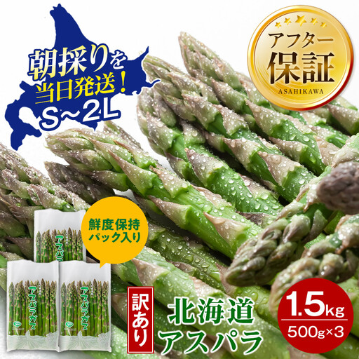 【2027年先行予約】【訳あり】露地物朝採りアスパラ 1.5kg（500g×3）鮮度保持フィルム入り（5月中旬発送開始予定）| 北海道 アスパラ _01589