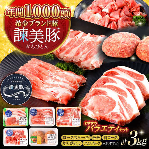 諫美豚バラエティセット計3kg / ロースステーキ モモ 肩ロース 切り落とし ハンバーグ / 豚 豚肉 ロース ステーキ 切り落とし 小分け / 諫早市 / 株式会社土井農場 [AHAD050]