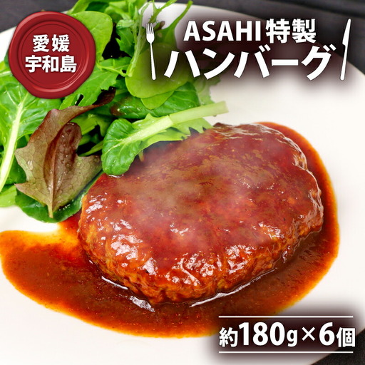 【ハンバーグ】 6個 株式会社きむら ハンバーグ J010-126003