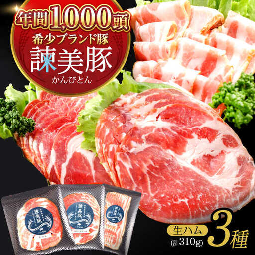 諫美豚 生ハム＆生ベーコン 3種セット計4P / 豚肉 ぶたにく ハム はむ 生ハム ベーコン 生ベーコン ロース 肩ロース バラ 小分け / 諫早市 / 株式会社土井農場 [AHAD058]