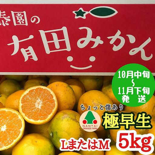 ちょっと 傷あり 極早生 有田 みかん L または M サイズ 5kg 南泰園 和歌山 有田みかん