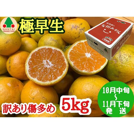 訳あり 傷多め 極早生 有田 みかん 5kg L〜SS サイズおまかせ 南泰園 和歌山 有田みかん
