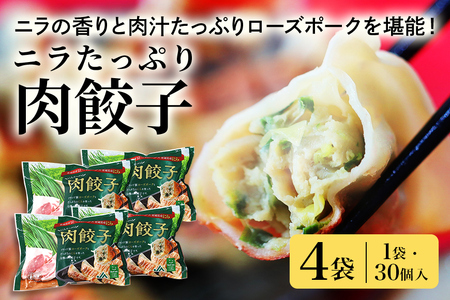 【数量限定】 ニラたっぷり肉餃子 4袋 肉餃子30個×4袋 120個 ニラ ぎょうざ ギョウザ 餃子 ニラ にら ローズポーク 豚肉 小美玉産 茨城県産 名産 冷凍 17-AB