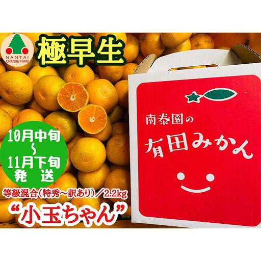極早生 有田 みかん 小玉ちゃん 等級 混合 2.2kg 南泰園 和歌山 有田みかん