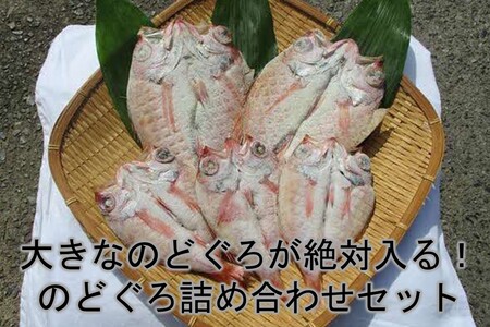 大きなのどぐろが絶対入る！のどぐろ詰め合わせセット のどぐろ 魚介 おかず おつまみ 大容量 たっぷり ふるさと納税 のどぐろ ふるさと納税 干物 【033_1782】