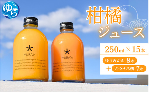 柑橘ジュース(ゆらみかんとさつき八朔)250ミリ×15本 / 和歌山県 柑橘 みかん 蜜柑 フルーツ 果物 くだもの 食品 人気 由良町 晩柑 おすすめ 送料無料 産地直送 由良町産 ドリンク[kzmn100-set2-15]