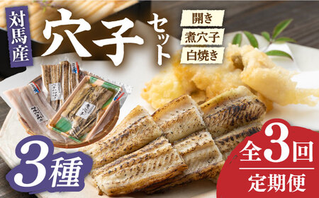 【全3回定期便】対馬 穴子 セット 500g [WAD038]煮穴子 白焼き あなご アナゴ
