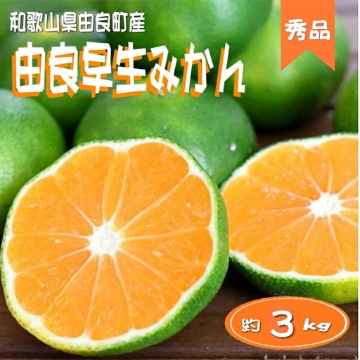 ≪秀品≫和歌山由良町産 由良早生みかん 約3kg サイズおまかせ【sml107C】