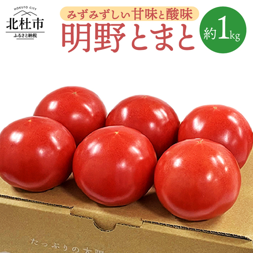 明野とまと約1kg０５ [h216]