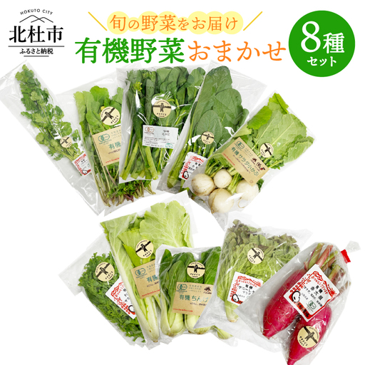 有機野菜おまかせ8種セット０７ 有機野菜 おまかせ 8種 セット 新鮮 九州屋ファーム 明野 山梨県 北杜市   [h216]