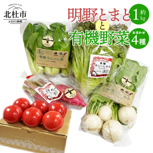 明野とまとと有機野菜おまかせ4種セット04 トマト 約1kg 有機野菜 おまかせ 4種 セット 新鮮 九州屋ファーム 明野 野菜 山梨県 北杜市 [h216]